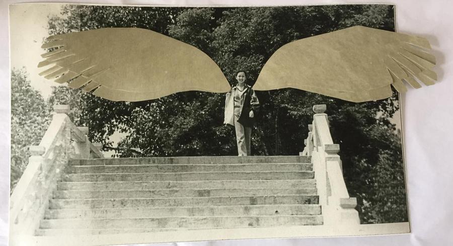 2033744599724d0a254a9d0513aec54a