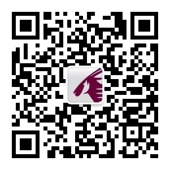 QR 代码

描述已自动生成