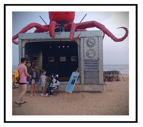 D:日照IMG_20250817_211819.jpgIMG_20250817_211819