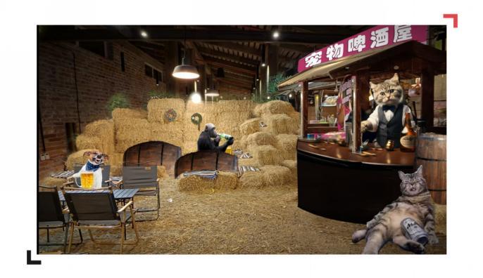 D:日照IMG_20250803_141046.jpgIMG_20250803_141046