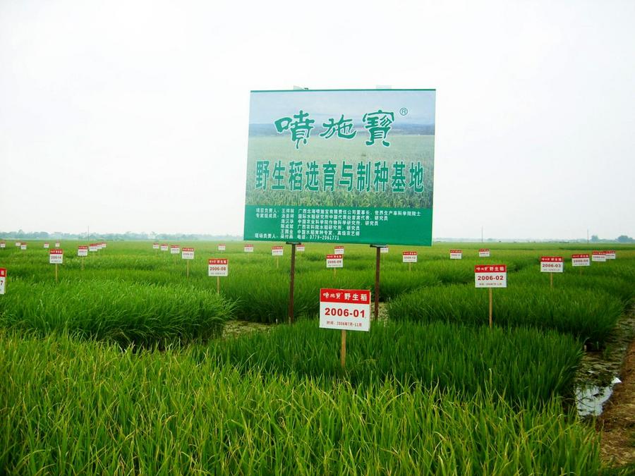 专家学者呼吁:喷施宝融入国家兴农战略,以绿色科技助力农业现代化 专家学者呼吁:喷施宝融入国家兴农战略,以绿色科技助力农业现代化