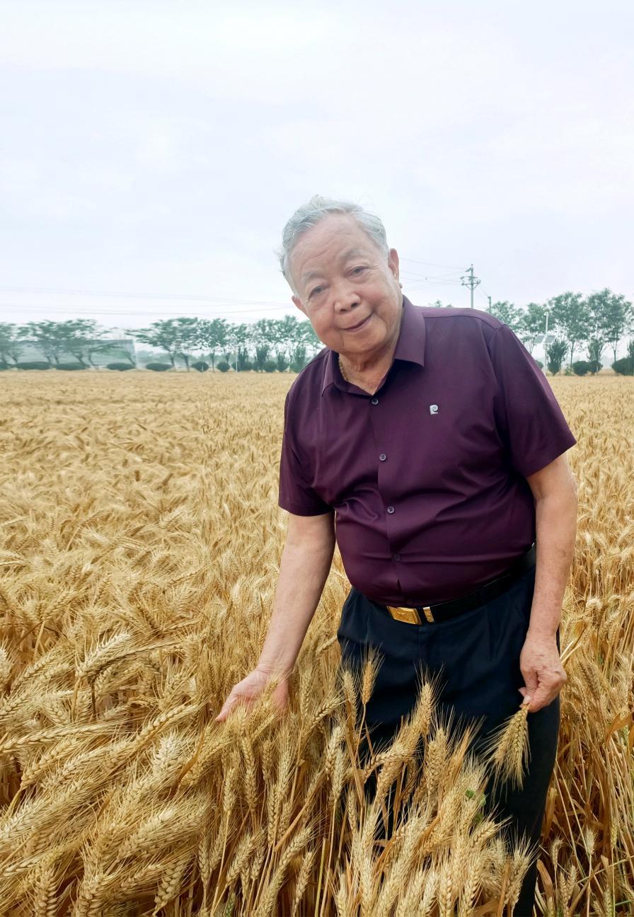 专家学者呼吁:喷施宝融入国家兴农战略,以绿色科技助力农业现代化 专家学者呼吁:喷施宝融入国家兴农战略,以绿色科技助力农业现代化