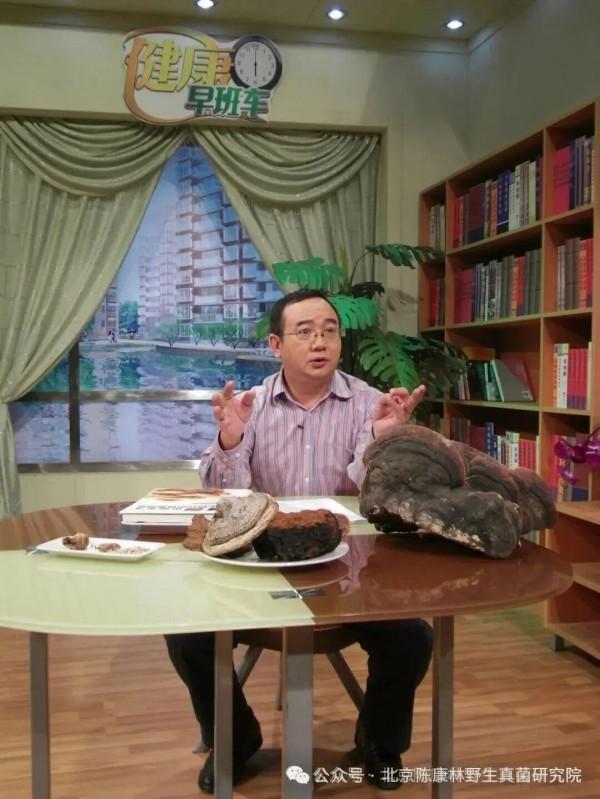 陈康林教授专访:以自然之道,疗愈现代之疾——药用真菌的医疗革命