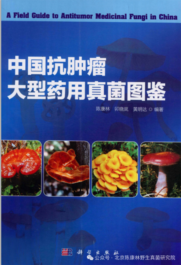 陈康林教授专访:以自然之道,疗愈现代之疾——药用真菌的医疗革命
